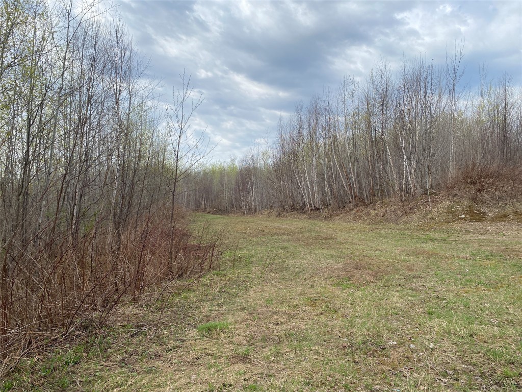 Near Wilson Lake Road Phillips WI 54555 1599328 image4