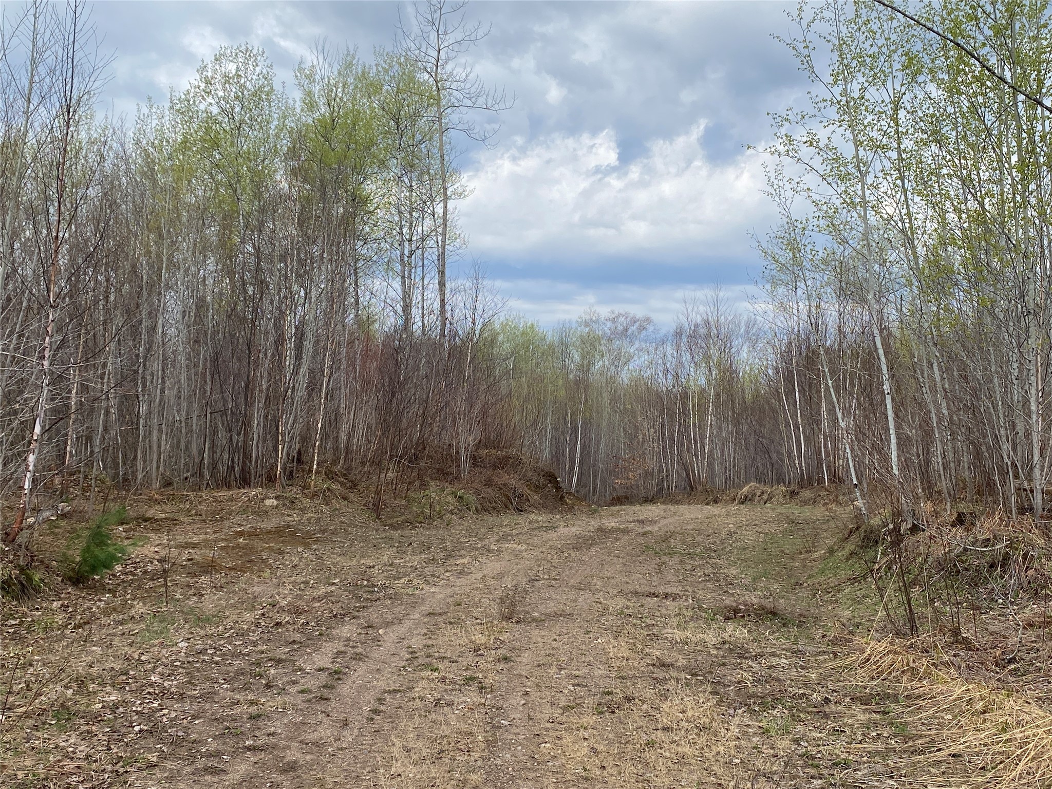 Near Wilson Lake Road Phillips WI 54555 1599328 image6