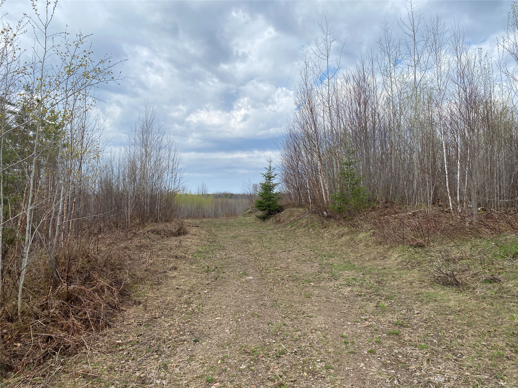 Near Wilson Lake Road Phillips WI 54555 1599329 image1