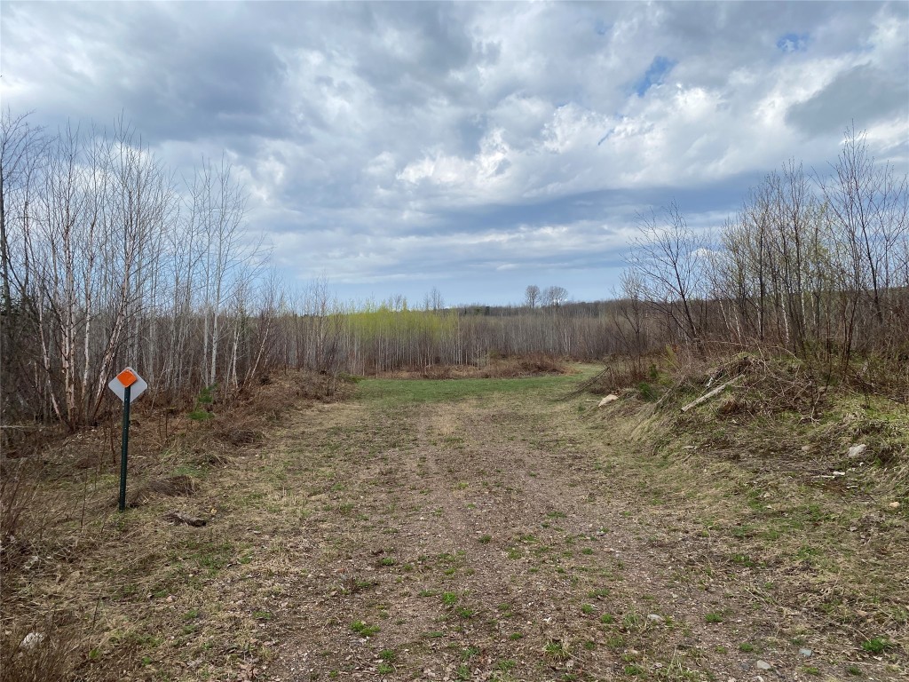 Near Wilson Lake Road Phillips WI 54555 1599329 image2