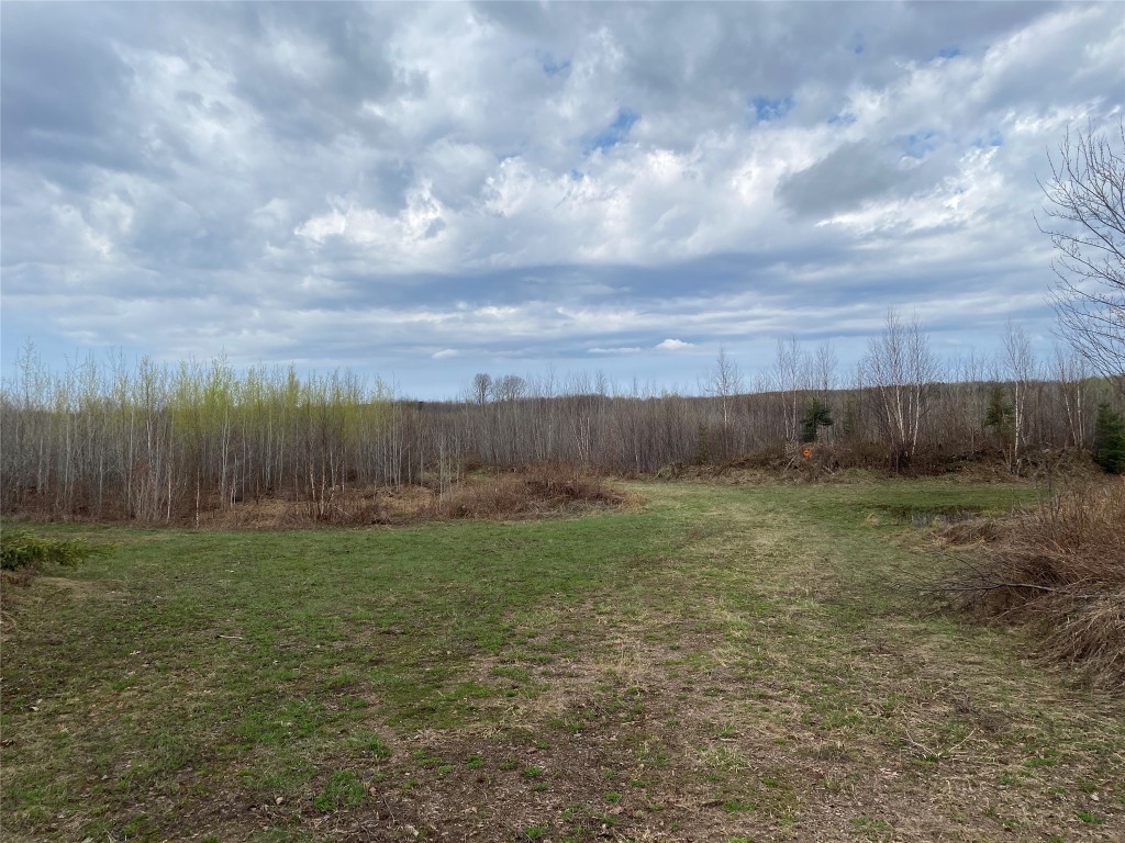 Near Wilson Lake Road Phillips WI 54555 1599329 image3