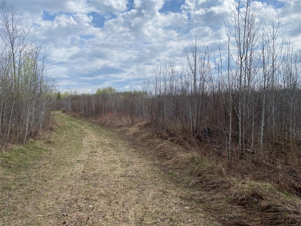 Near Wilson Lake Road Phillips WI 54555 1599329 image4