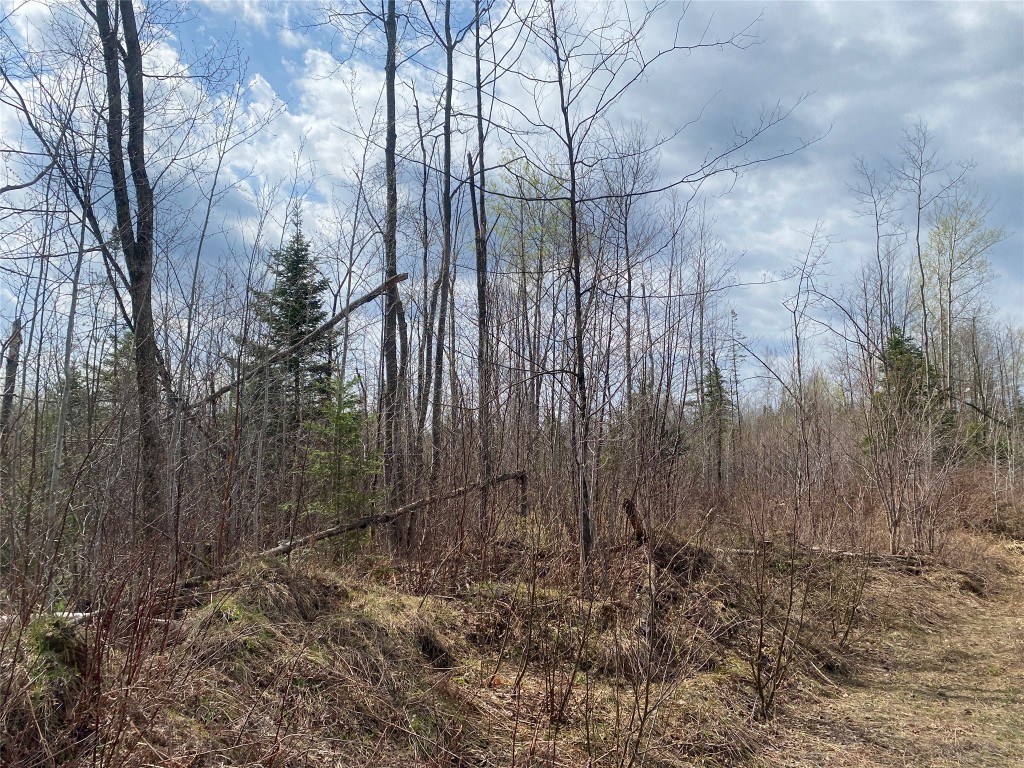 Near Wilson Lake Road Phillips WI 54555 1599329 image5