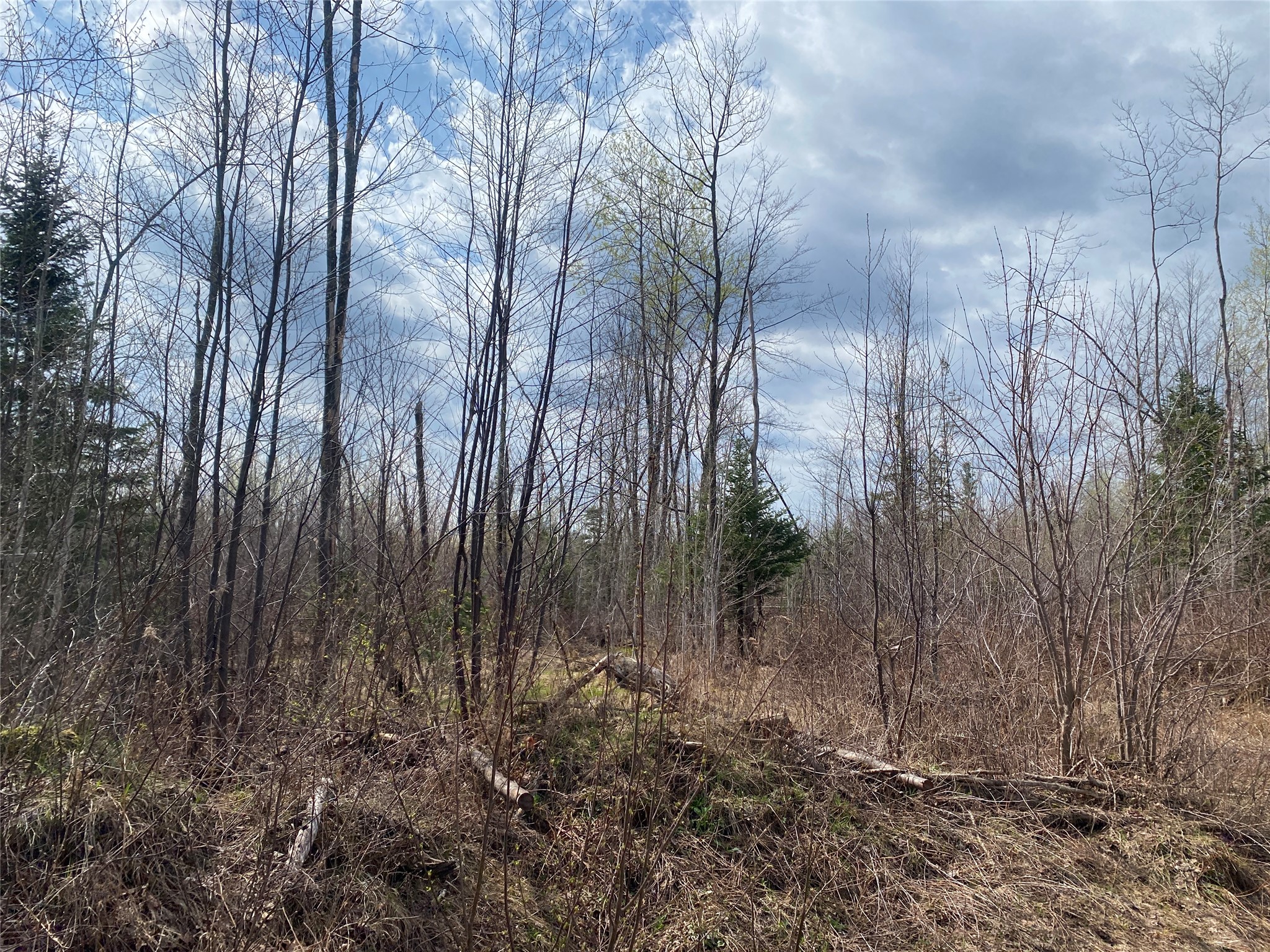 Near Wilson Lake Road Phillips WI 54555 1599330 image1