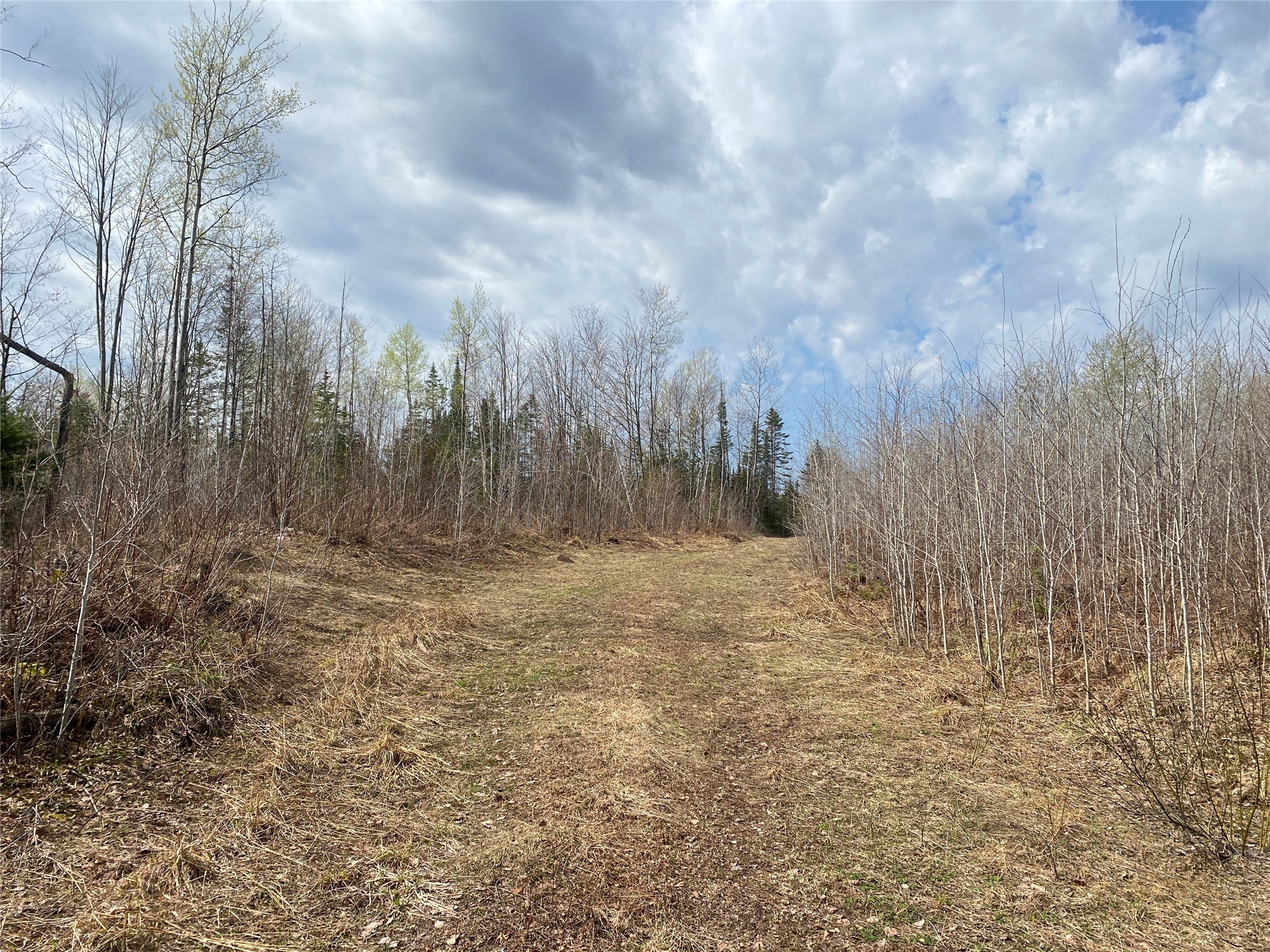 Near Wilson Lake Road Phillips WI 54555 1599330 image2