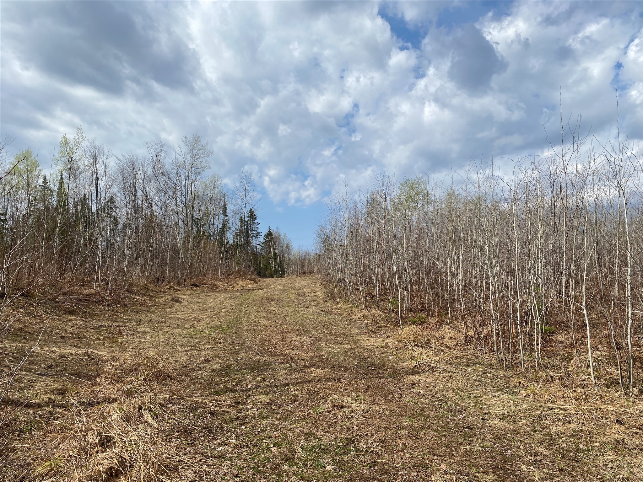Near Wilson Lake Road Phillips WI 54555 1599330 image3