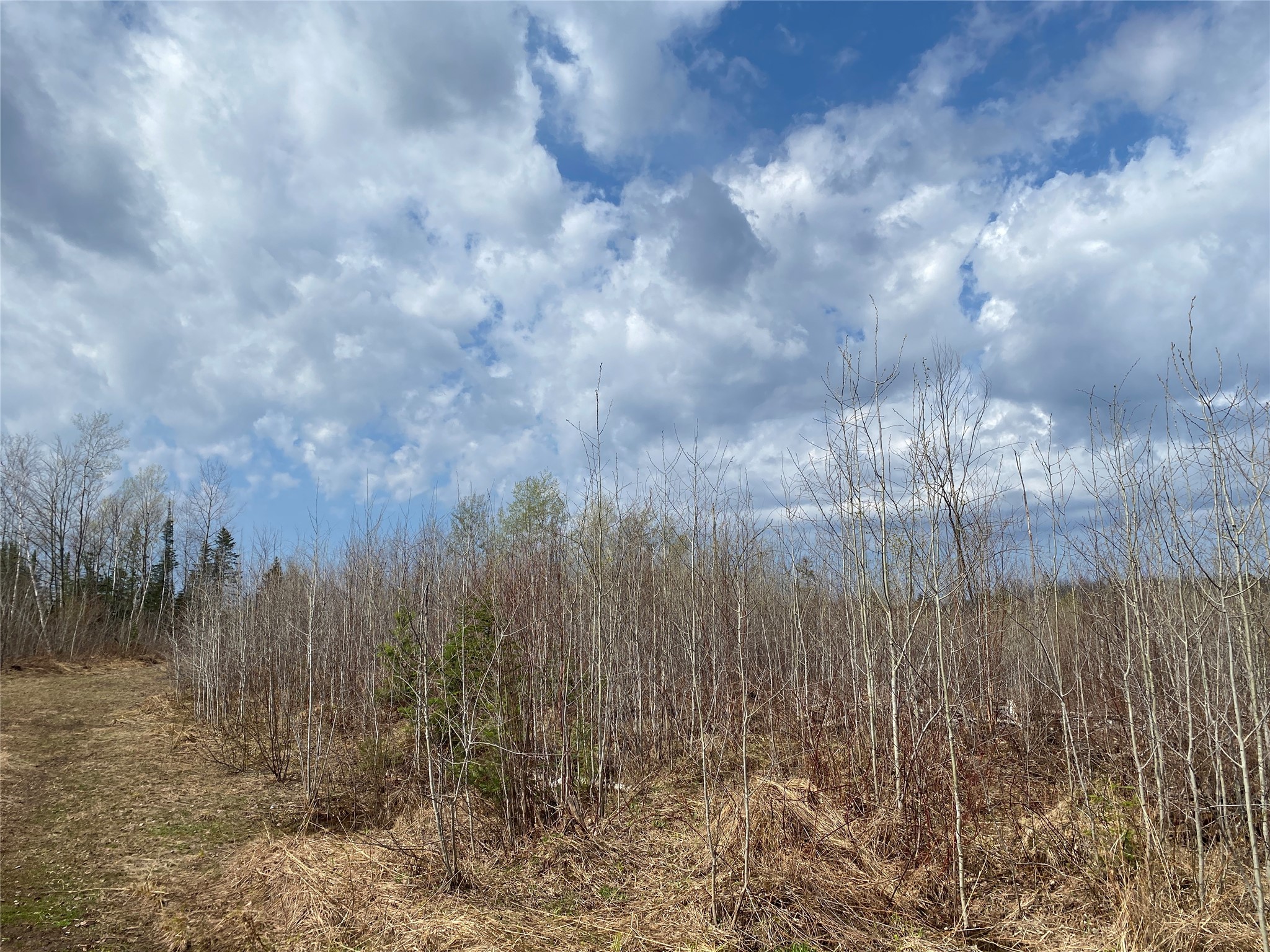 Near Wilson Lake Road Phillips WI 54555 1599330 image4