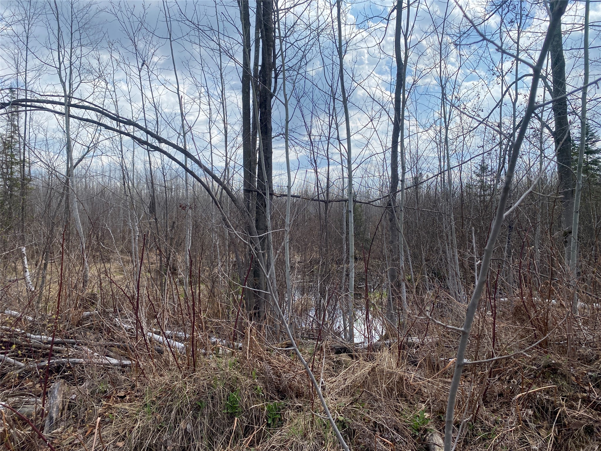Near Wilson Lake Road Phillips WI 54555 1599330 image6