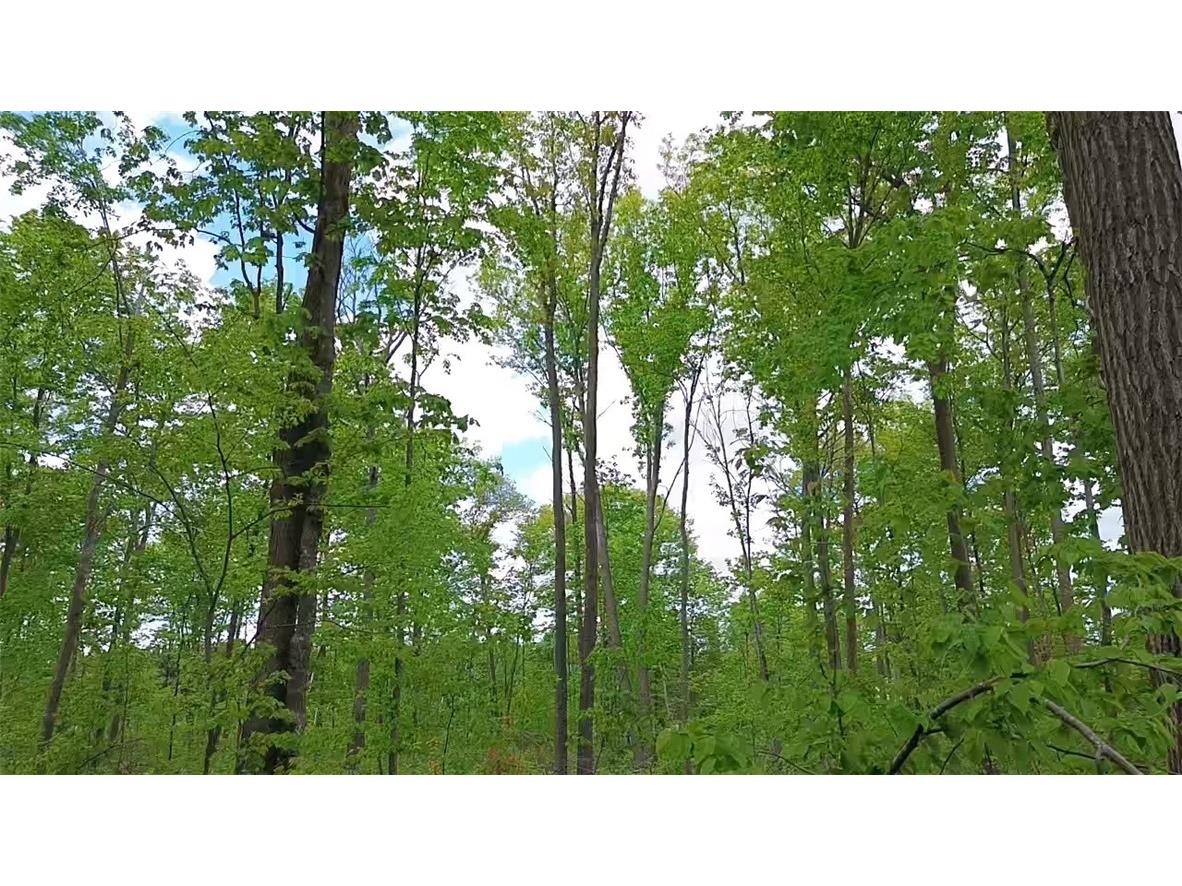 North 10 150th Street Frederic WI 54837 1592030 image1