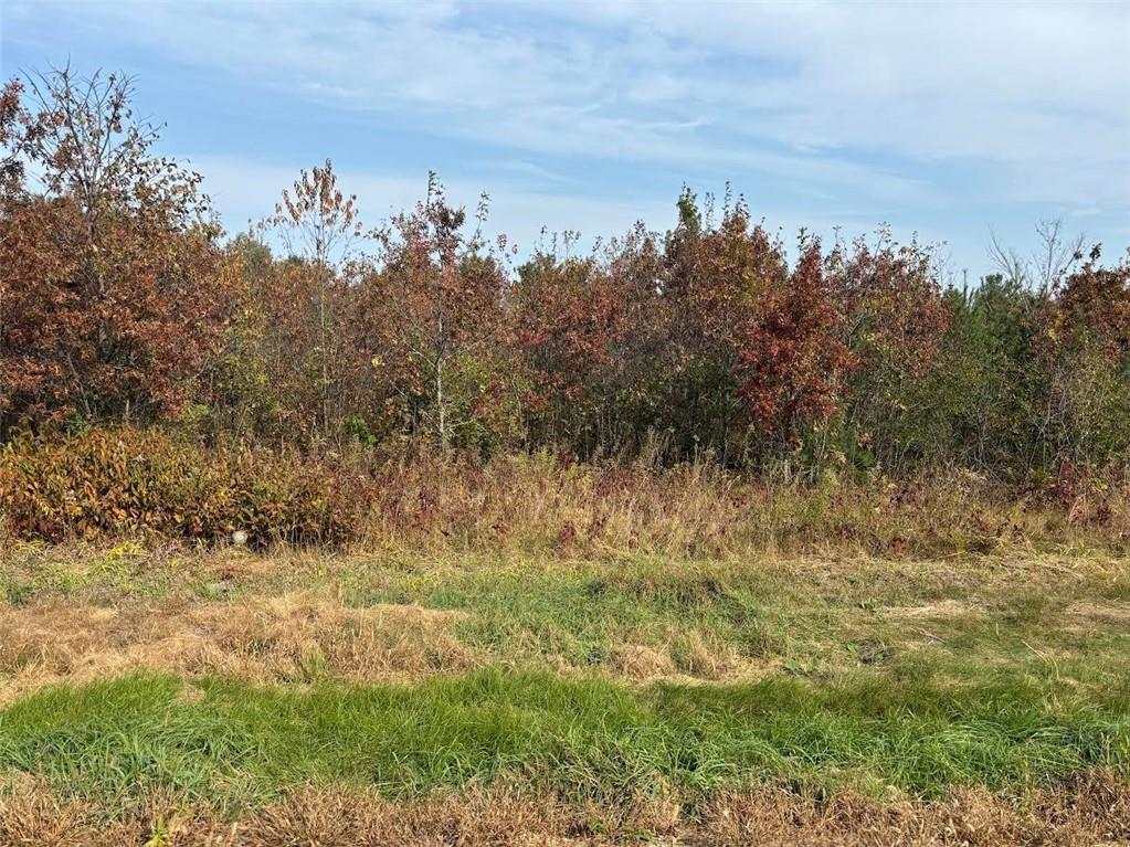 O County Road O Osseo WI 54758 - Buffalo 1586555 image1