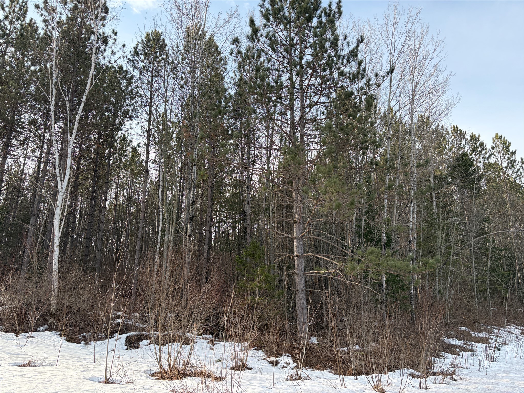 ON Barker Lake Road Road Winter WI 54896 1599276 image2