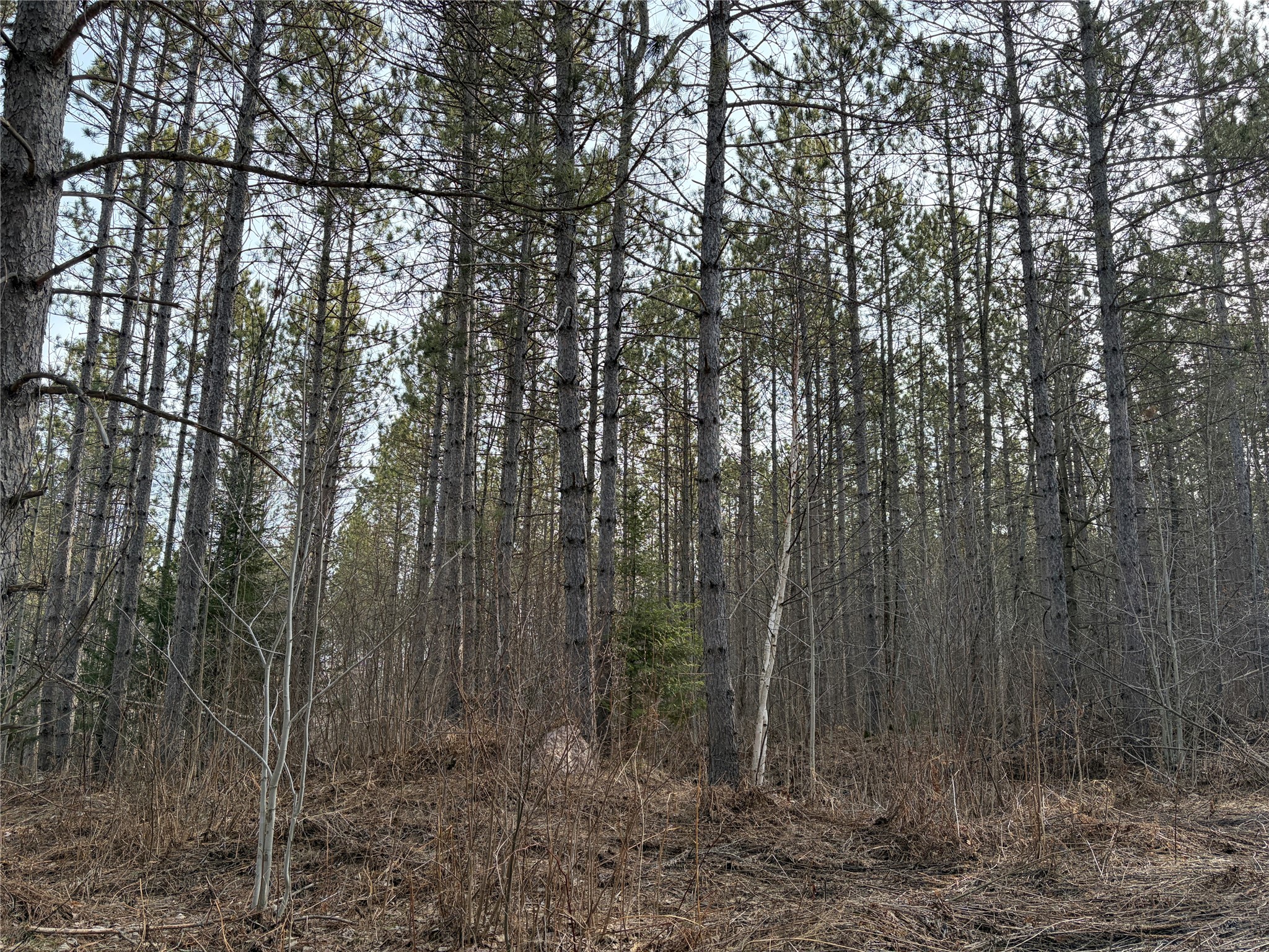 ON Barker Lake Road Road Winter WI 54896 1599276 image6
