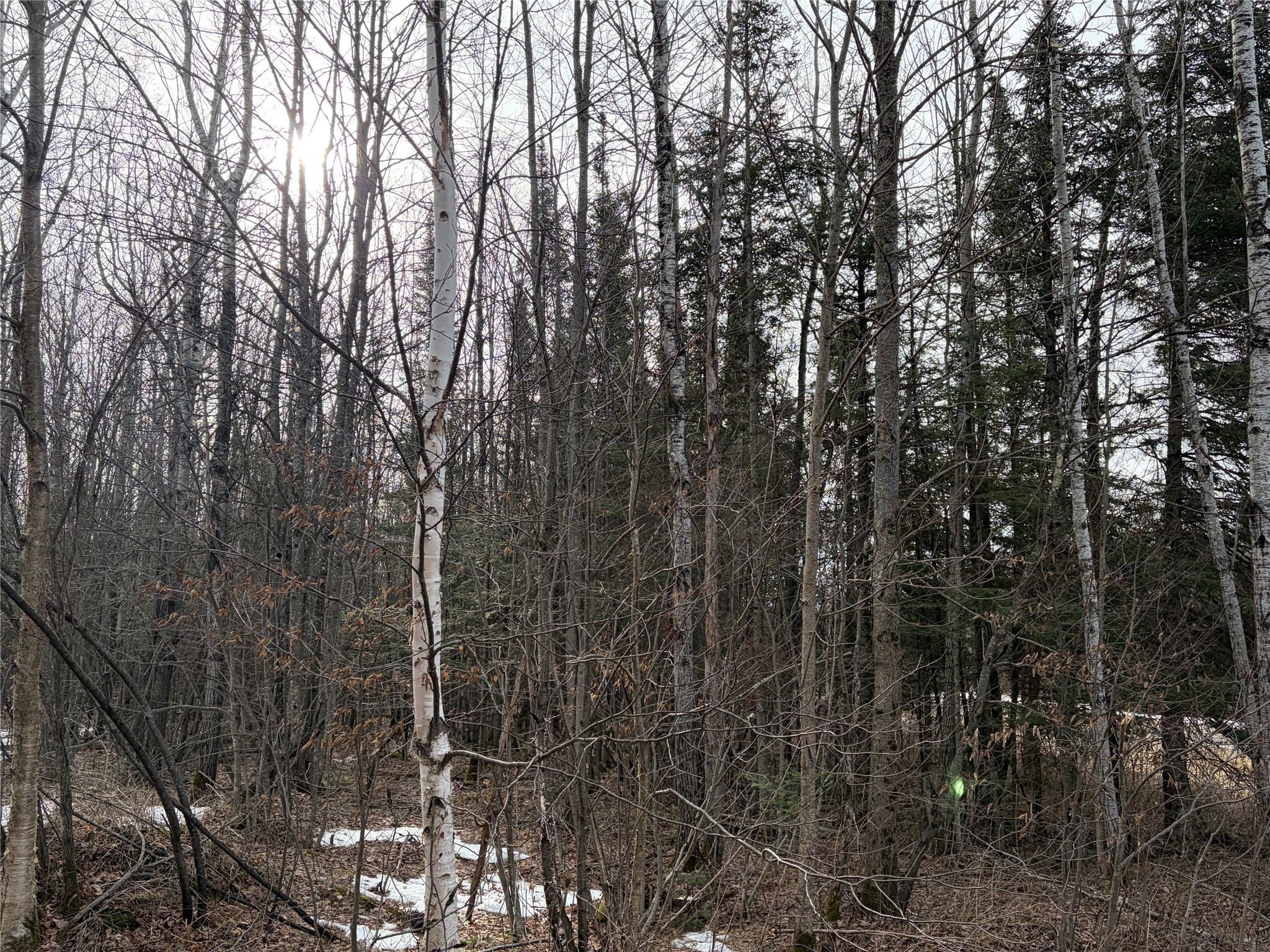 ON Cth B Winter WI 54896 1599277 image5