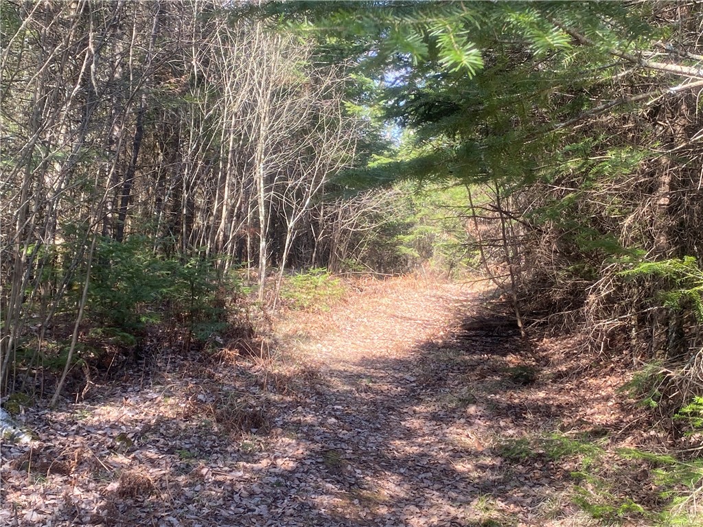 ON Cth F Park Falls WI 54552 1590615 image3