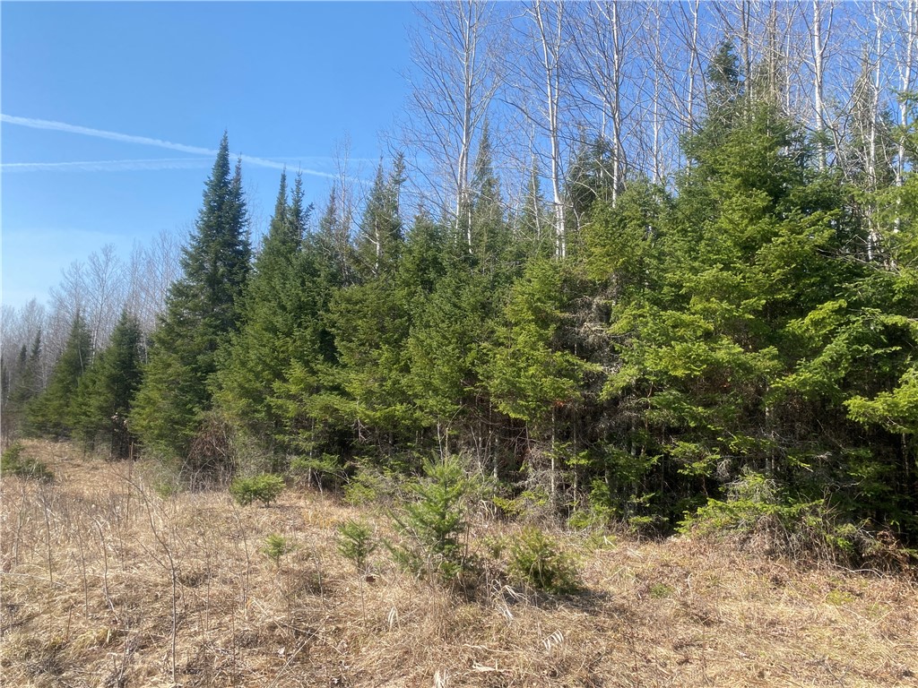 ON Cth F Park Falls WI 54552 1590615 image4