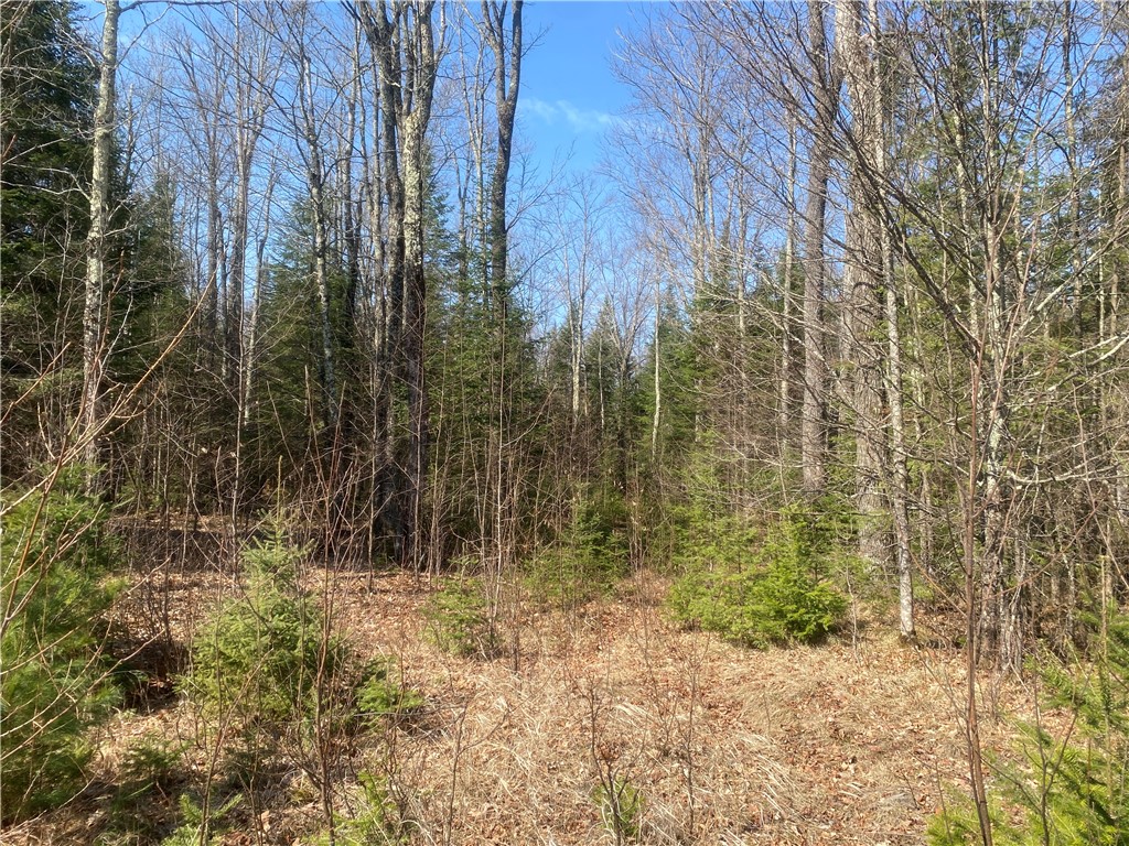 ON Cth F Park Falls WI 54552 1590615 image6