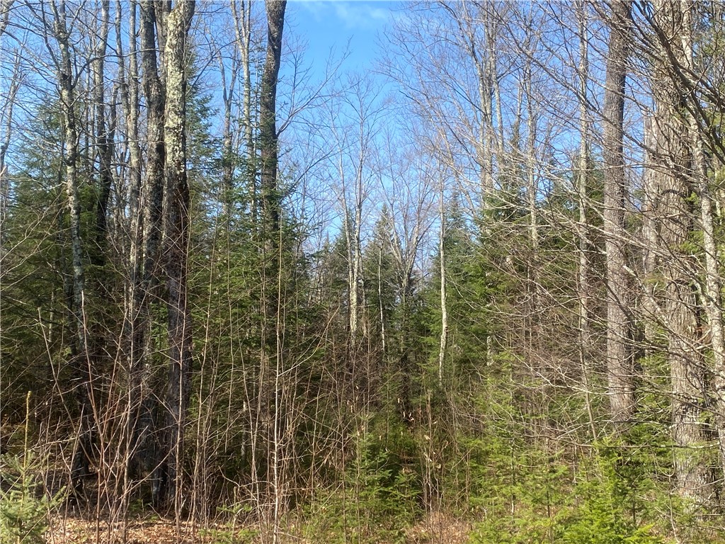 ON Cth F Park Falls WI 54552 1590615 image7