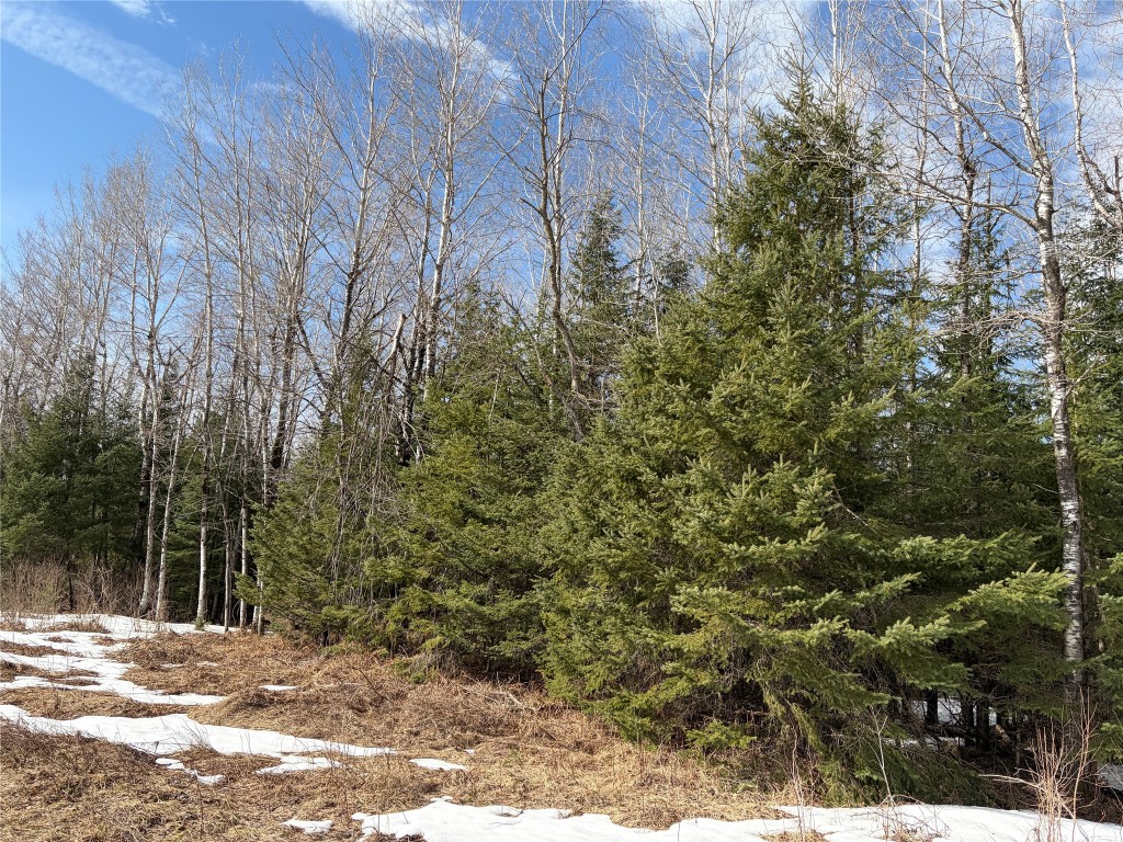 ON Cth F Park Falls WI 54552 1599310 image3