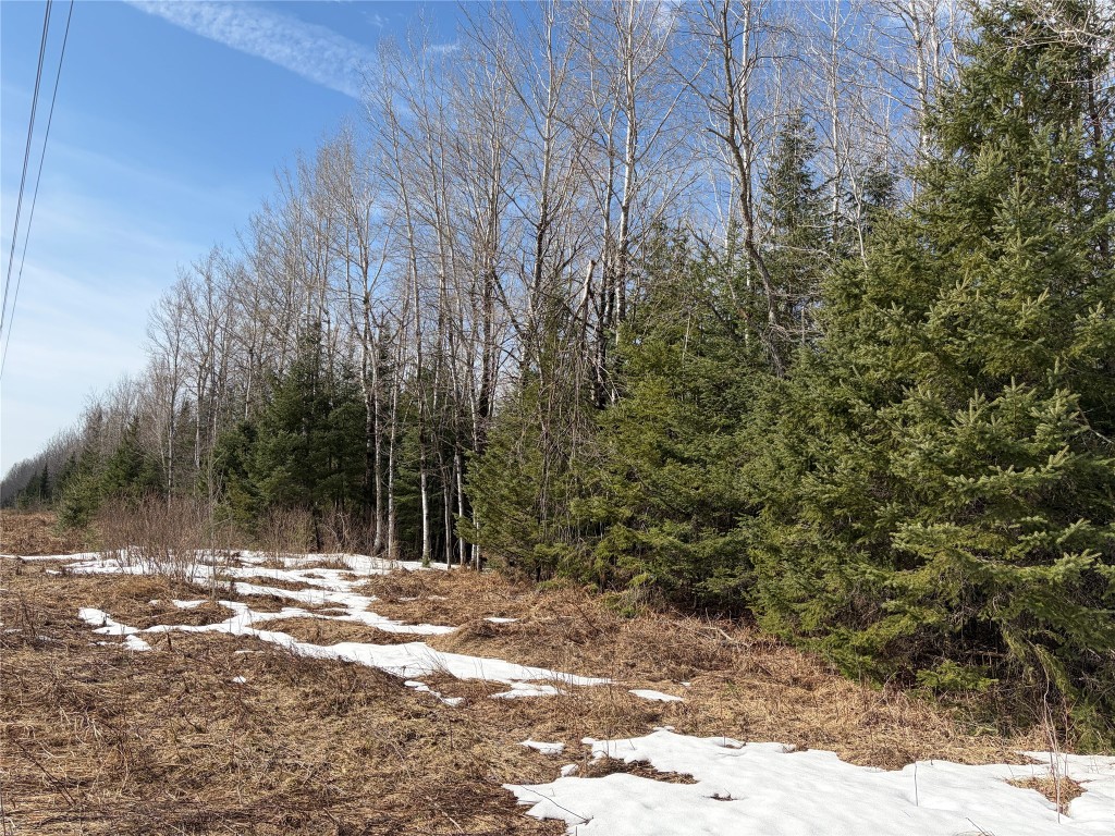 ON Cth F Park Falls WI 54552 1599310 image4