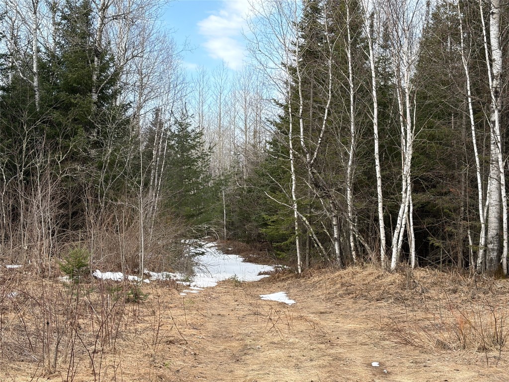 ON Cth F Park Falls WI 54552 1599310 image6