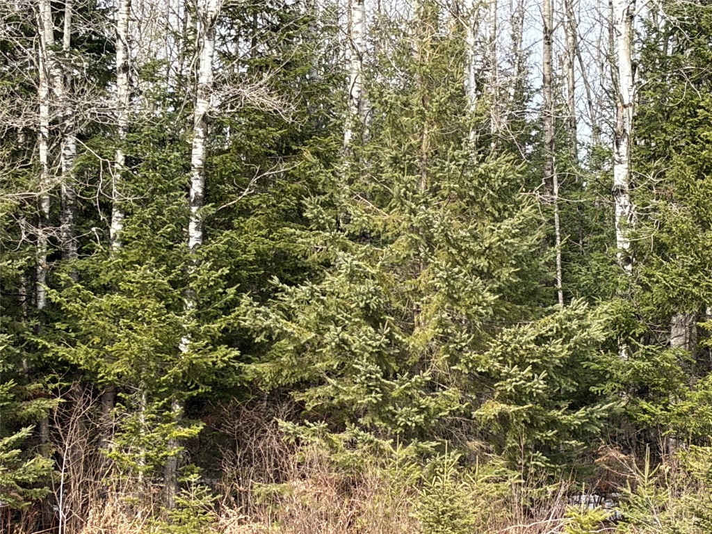 ON Cth F Park Falls WI 54552 1599312 image3