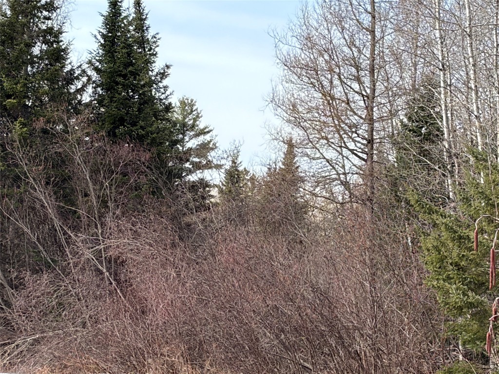 ON Cth F Park Falls WI 54552 1599312 image4