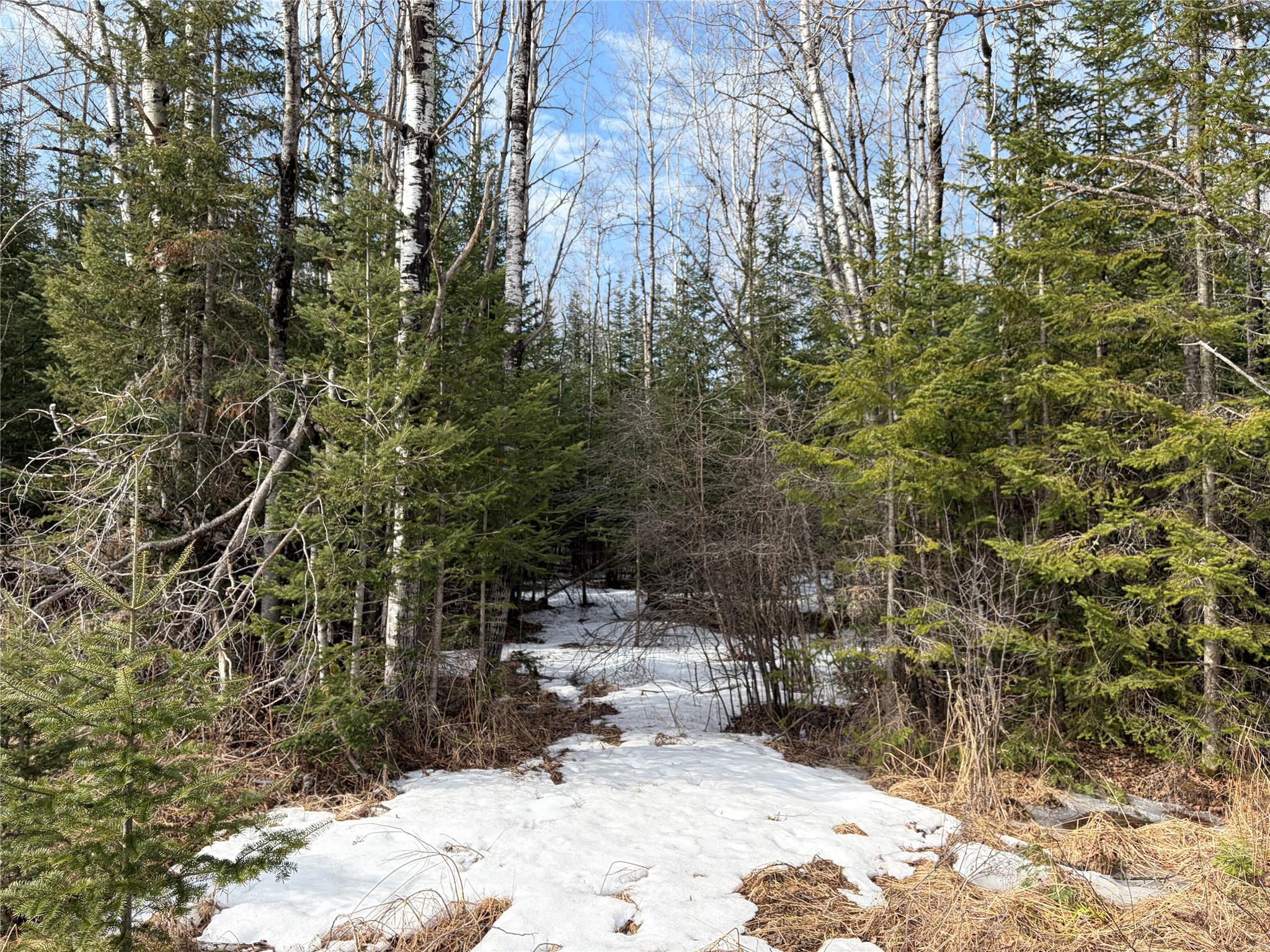 ON Cth F Park Falls WI 54552 1599313 image3