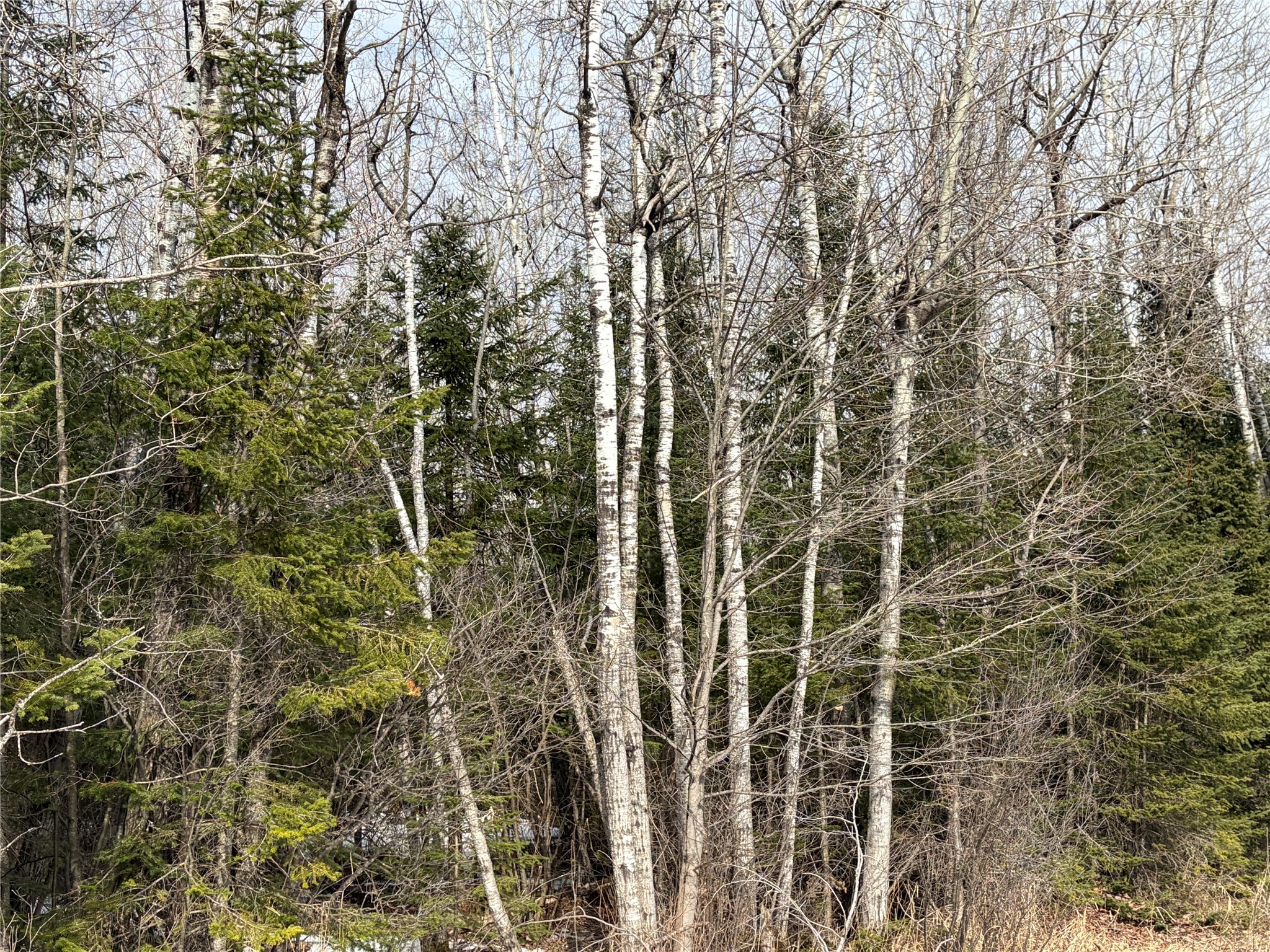 ON Cth F Park Falls WI 54552 1599313 image4