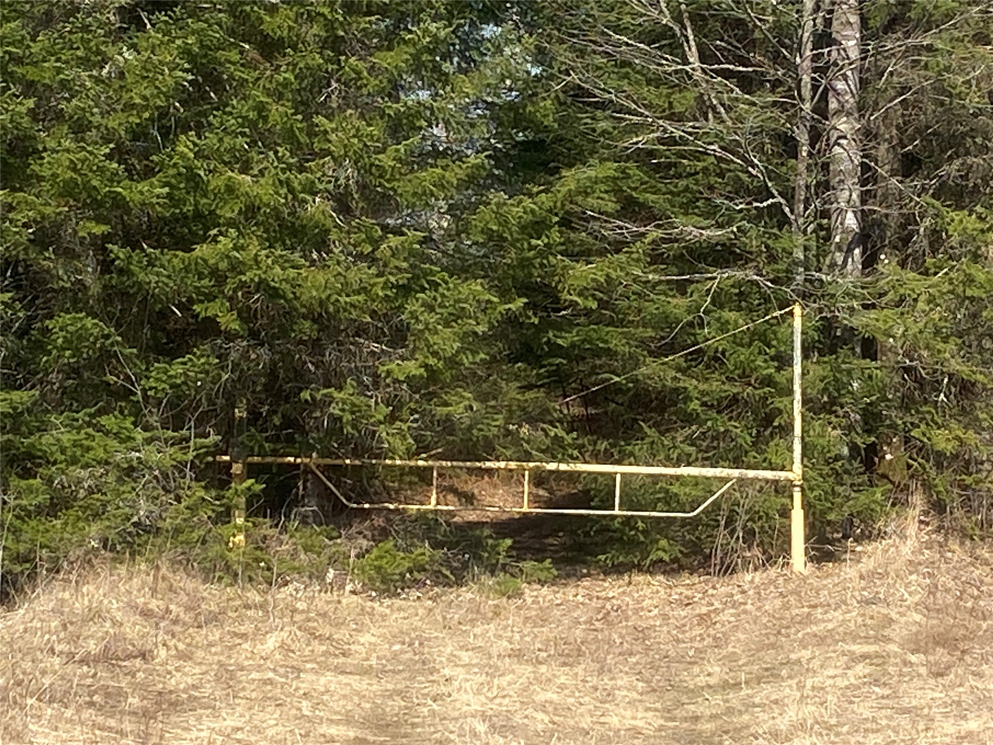 ON Cth F Park Falls WI 54552 1599314 image3