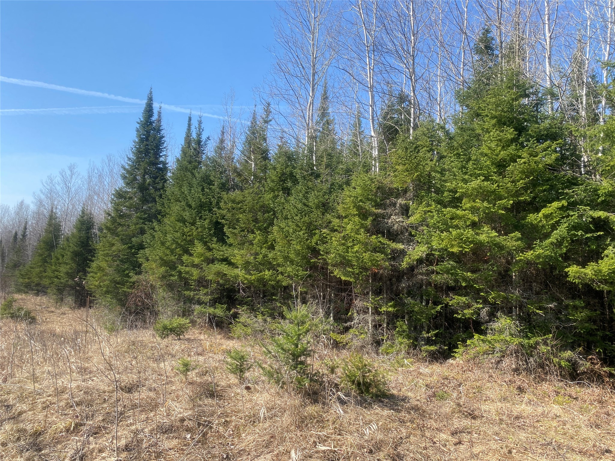 ON Cth F Park Falls WI 54552 1599314 image5