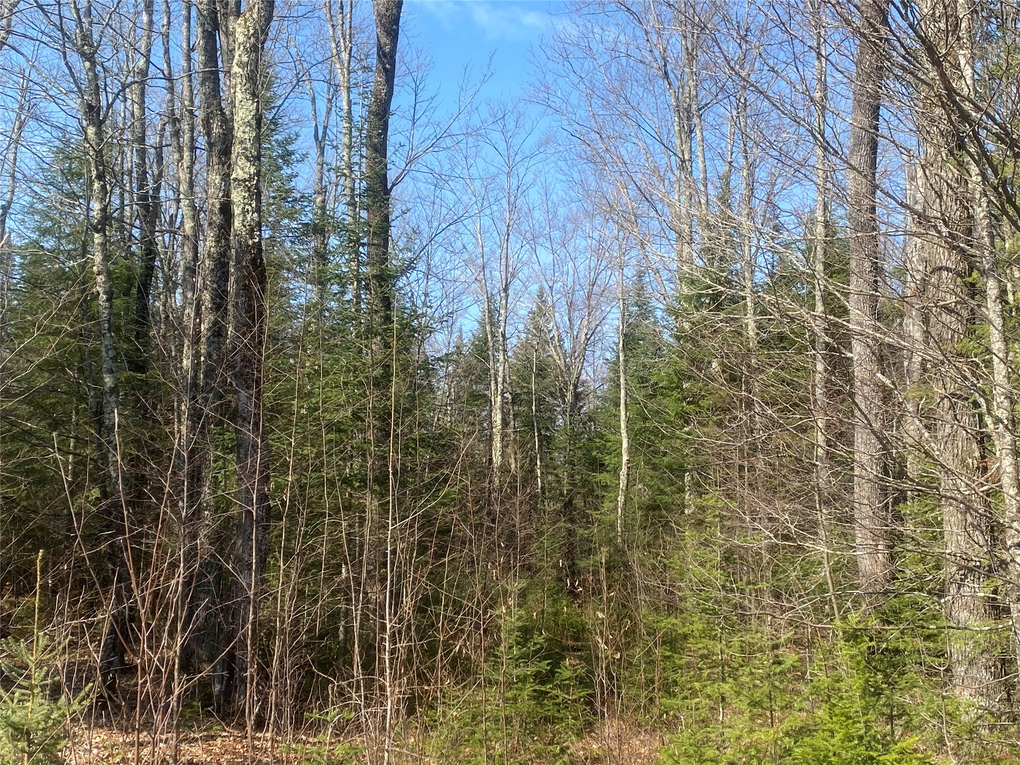 ON Cth F Park Falls WI 54552 1599314 image8