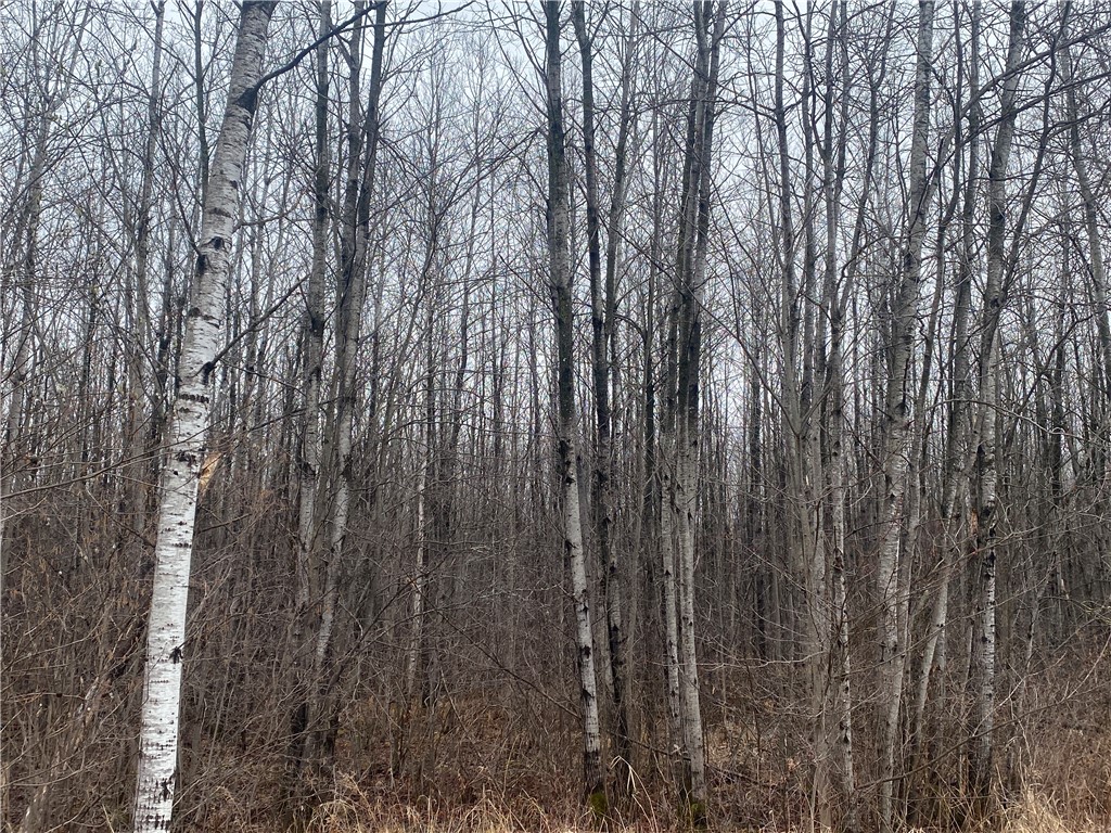 ON Cth I Ogema WI 54459 1590580 image3