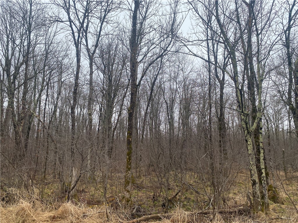 ON Cth I Ogema WI 54459 1590580 image5