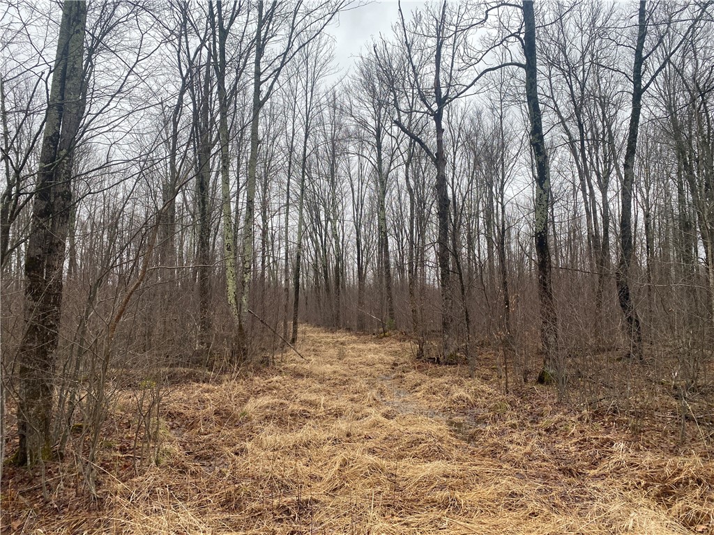 ON Cth I Ogema WI 54459 1590580 image6