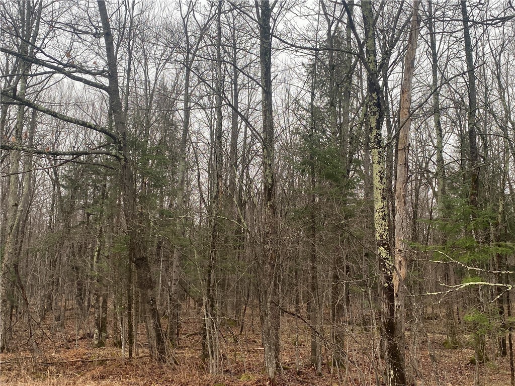 ON Cth I Ogema WI 54459 1590583 image2