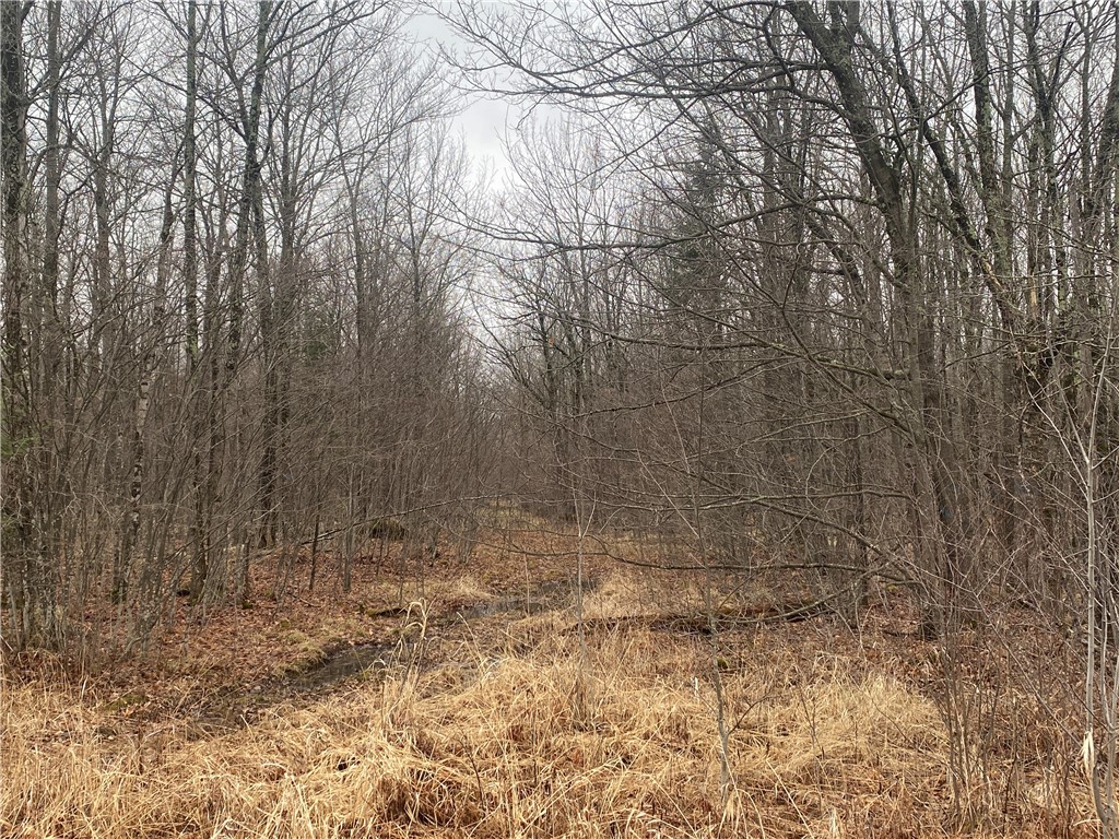 ON Cth I Ogema WI 54459 1590583 image4