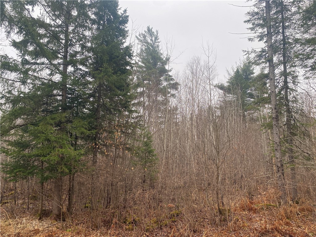 ON Cth I Ogema WI 54459 1590585 image2