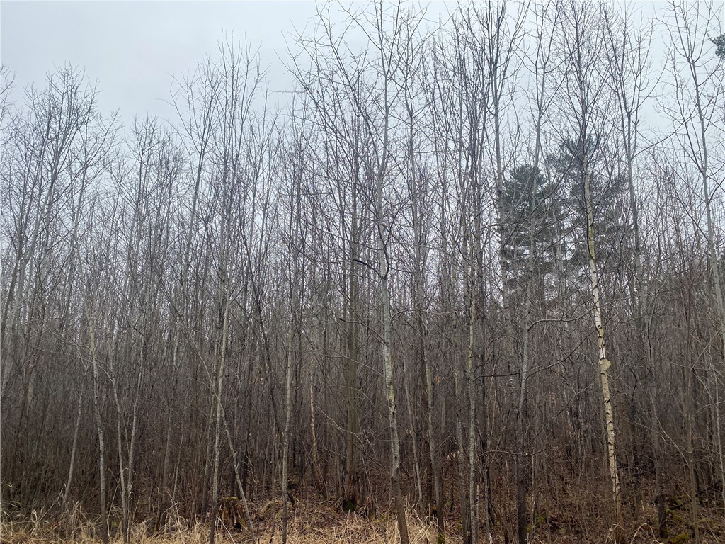 ON Cth I Ogema WI 54459 1590585 image4