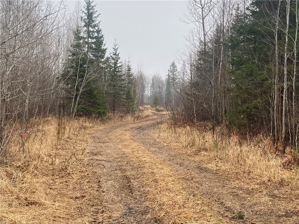 ON Cth I Ogema WI 54459 1590585 image5