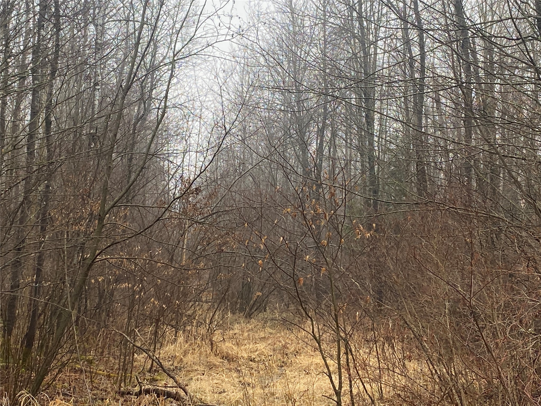ON Cth I Ogema WI 54459 1599109 image4