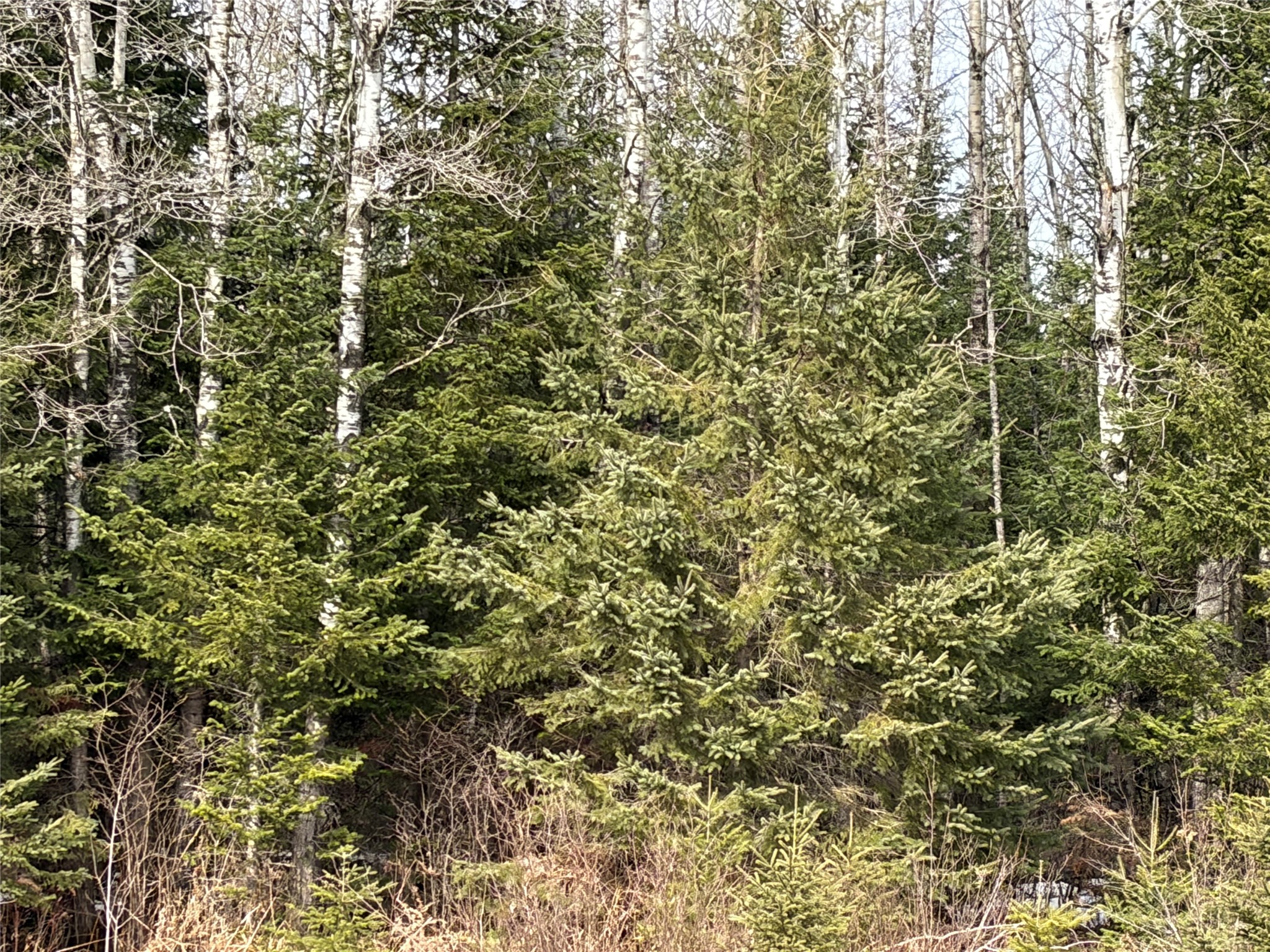 ON County Highway F Park Falls WI 54552 1599312 image3