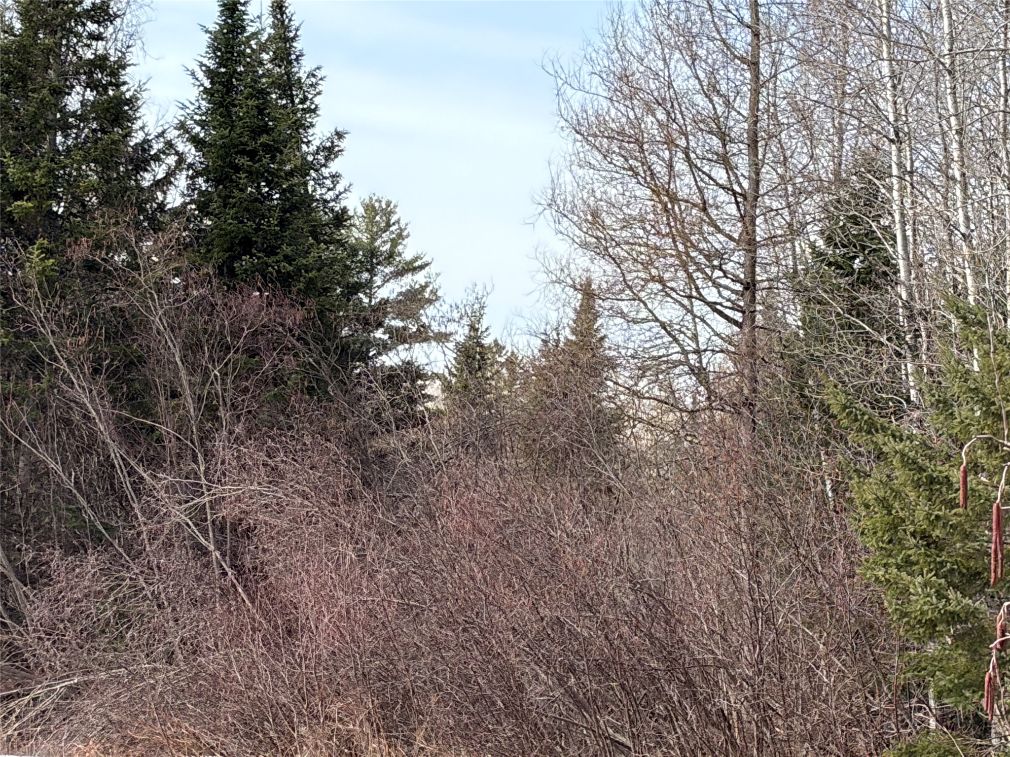 ON County Highway F Park Falls WI 54552 1599312 image4