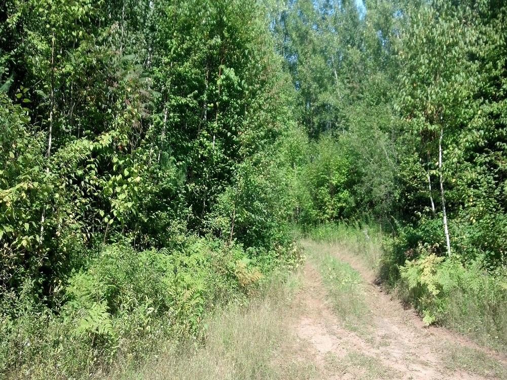 ON E Altamont Road Mason WI 54856 1579749 image1