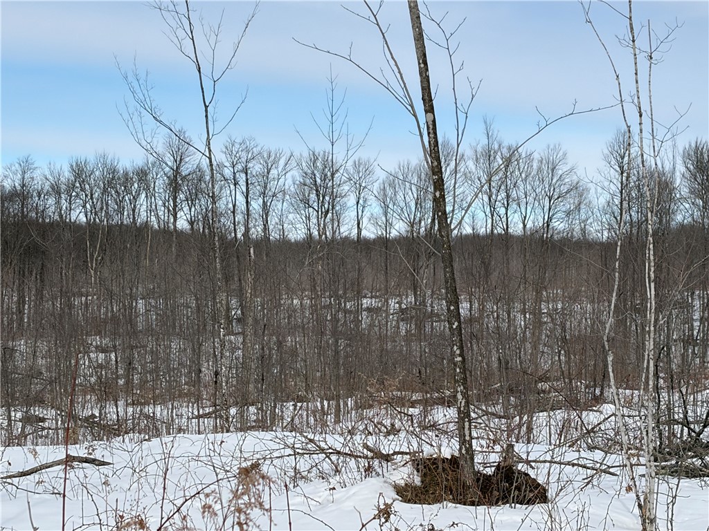 ON Forest Drive E Ogema WI 54459 1598876 image4
