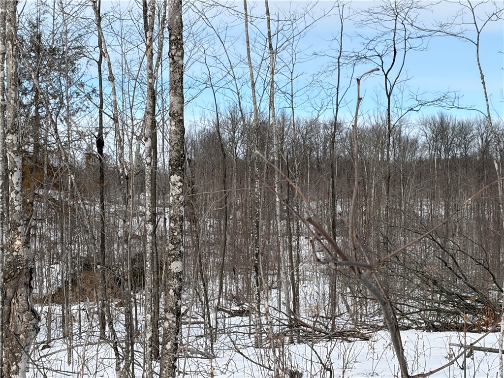 ON Forest Drive E Ogema WI 54459 1598876 image5