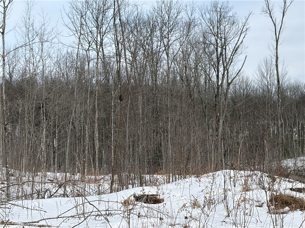 ON Forest Drive E Ogema WI 54459 1598876 image6