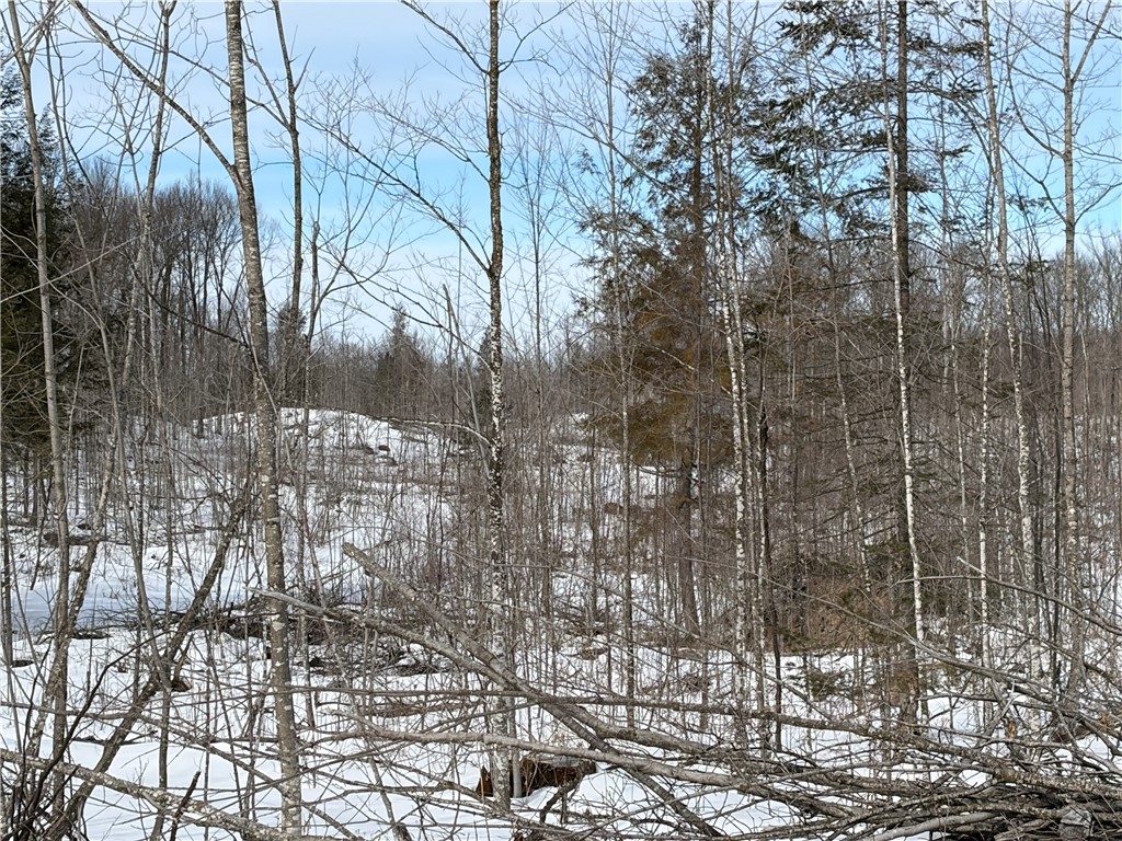 ON Forest Drive E Ogema WI 54459 1598876 image7