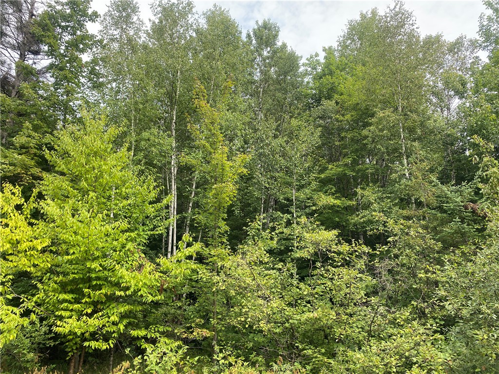 ON Maple Ridge Road Park Falls WI 54552 1584860 image2