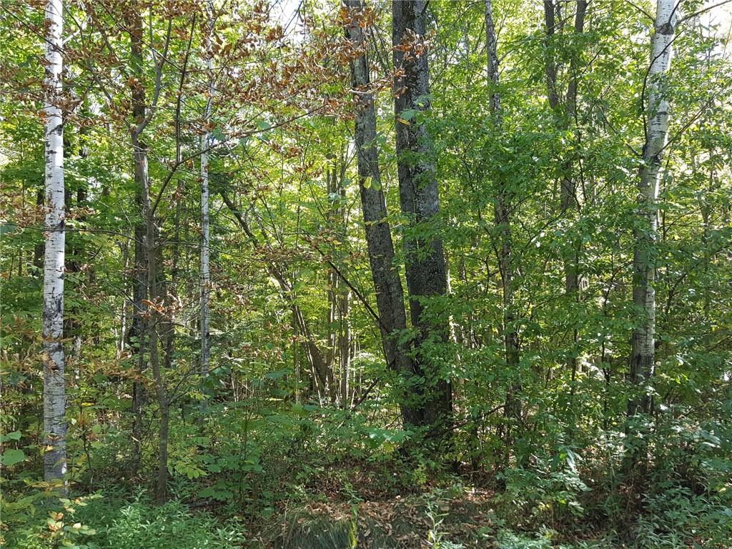 ON N Altamont Road Mason WI 54856 1589572 image2