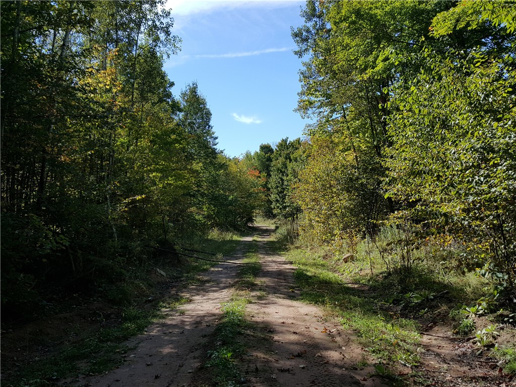 ON N Altamont Road Mason WI 54856 1589572 image3